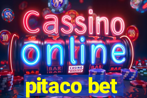 pitaco bet